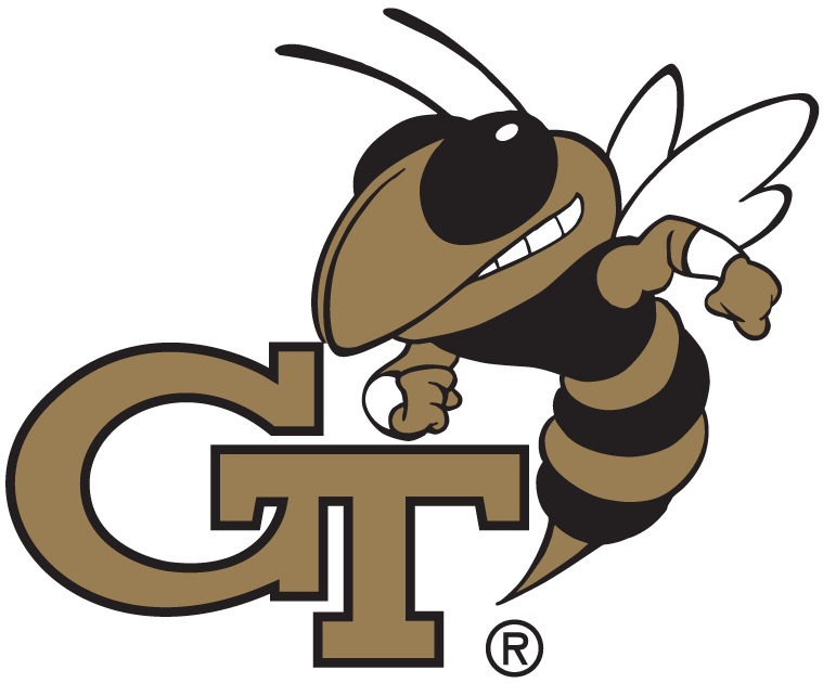 Georgia Tech Yellow Jackets 1991-Pres Alternate Logo diy DTF decal sticker